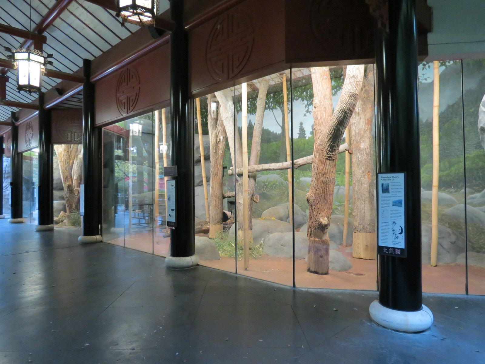 CHINA - Giant Panda Indoor Bedroom 2