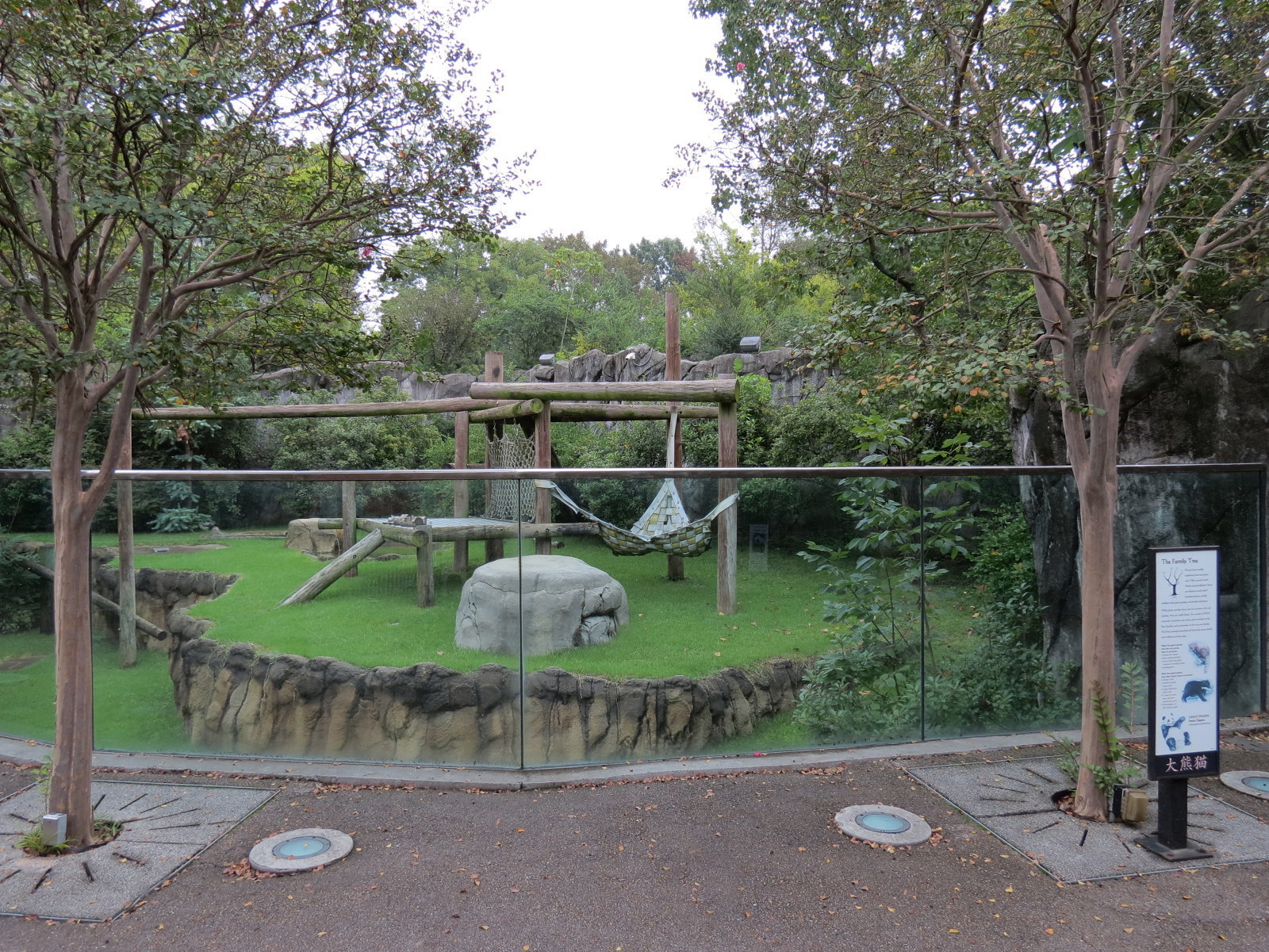 CHINA - Giant Panda Outdoor Exhibit