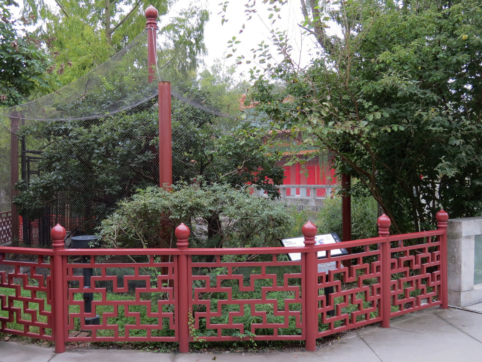 CHINA - Golden Pheasant and White-crested Laughing Thrush Exhibit