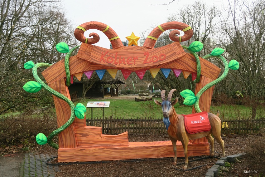 China Lights - Hennes the mascot of 1.FC Köln