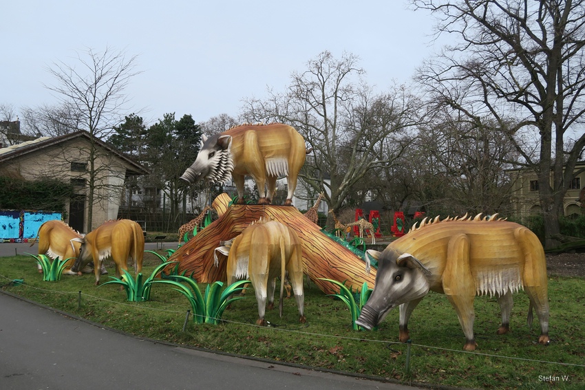 China Lights - in front of the old elephant and rhino house