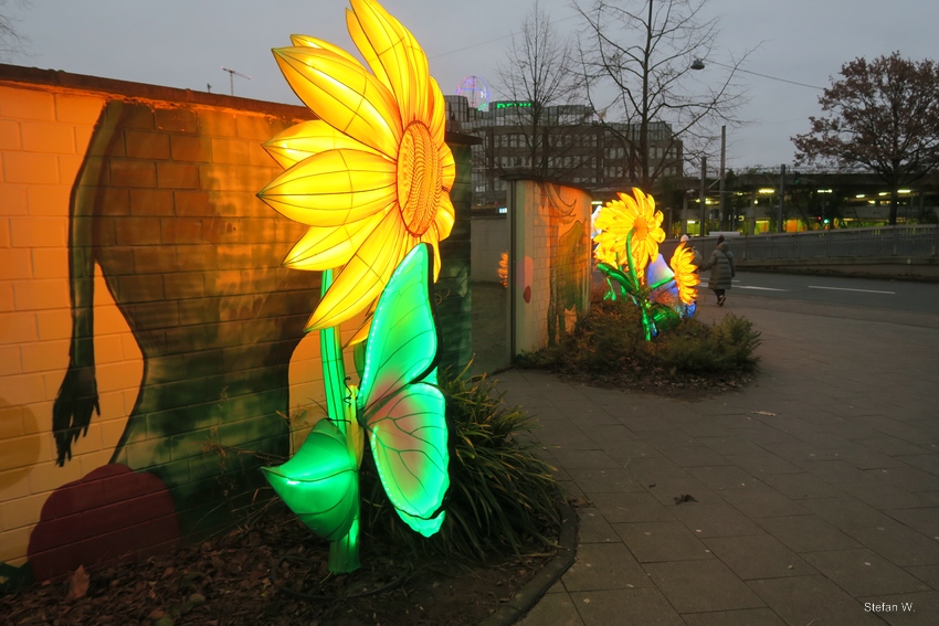China Lights - in the Evening at the Entrance