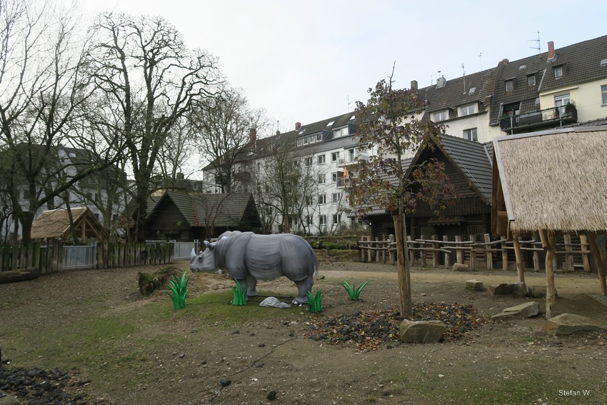 China Lights - on the new but empty rhino side enclosure