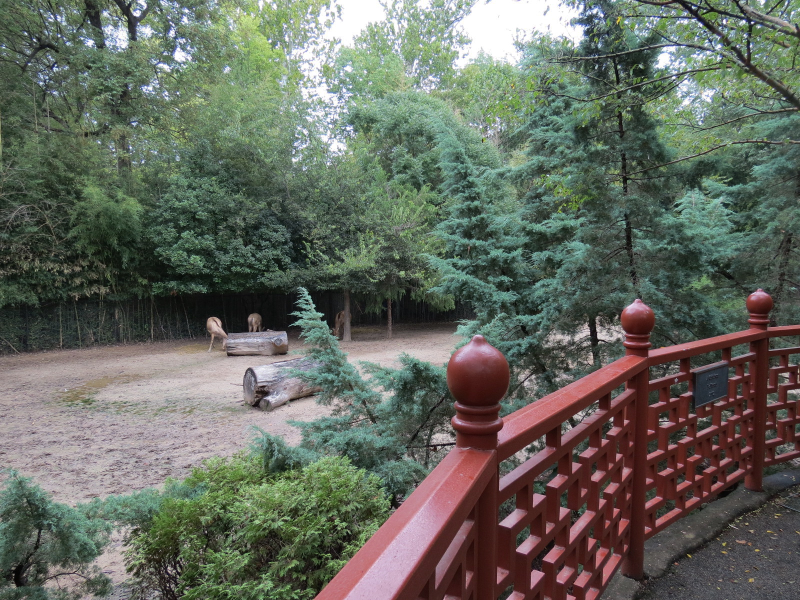 CHINA - Pere David's Deer and Red-crowned Crane Exhibit