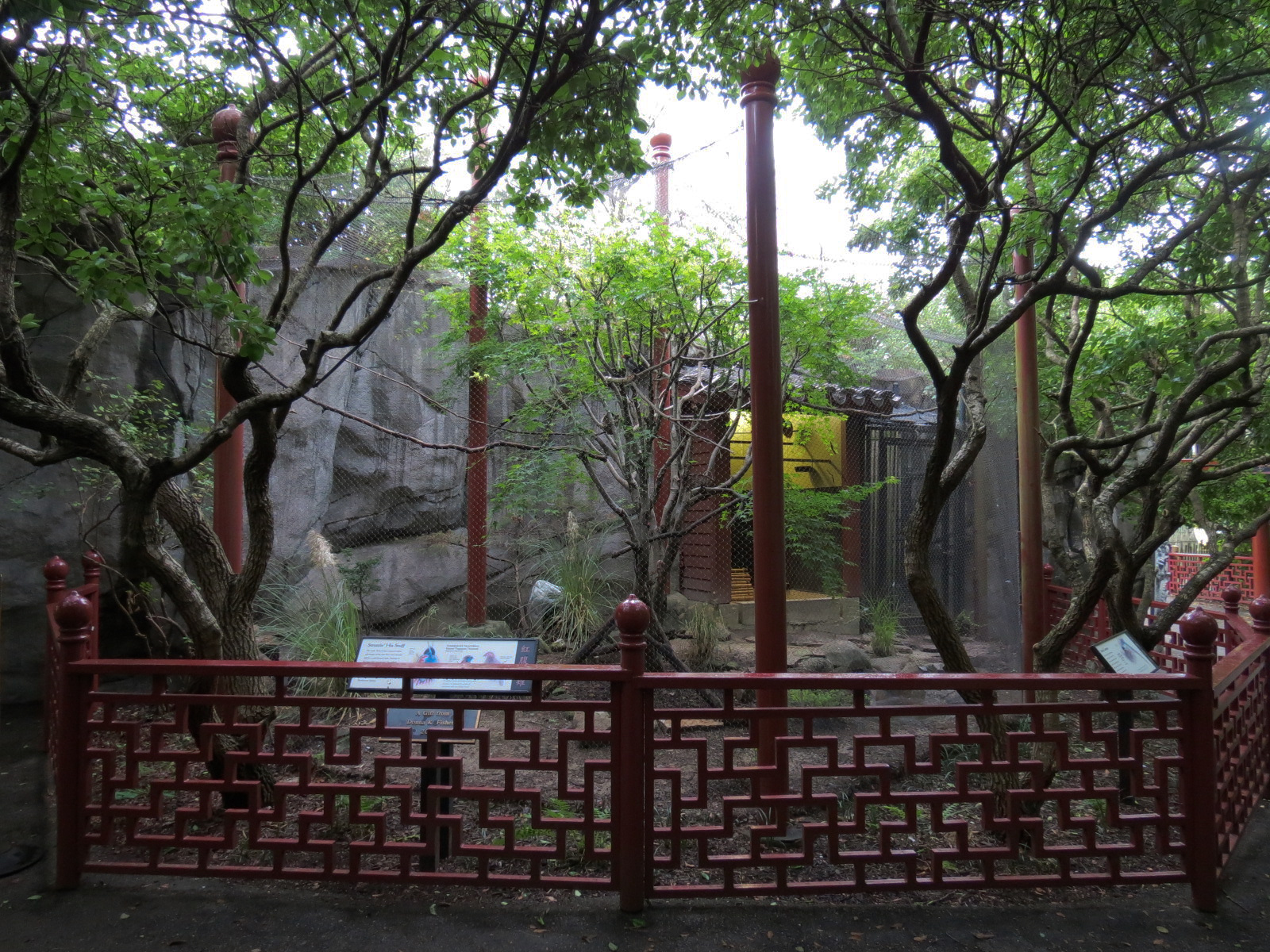CHINA - Red-billed Blue Magpie and Temminck's Tragopan Exhibit
