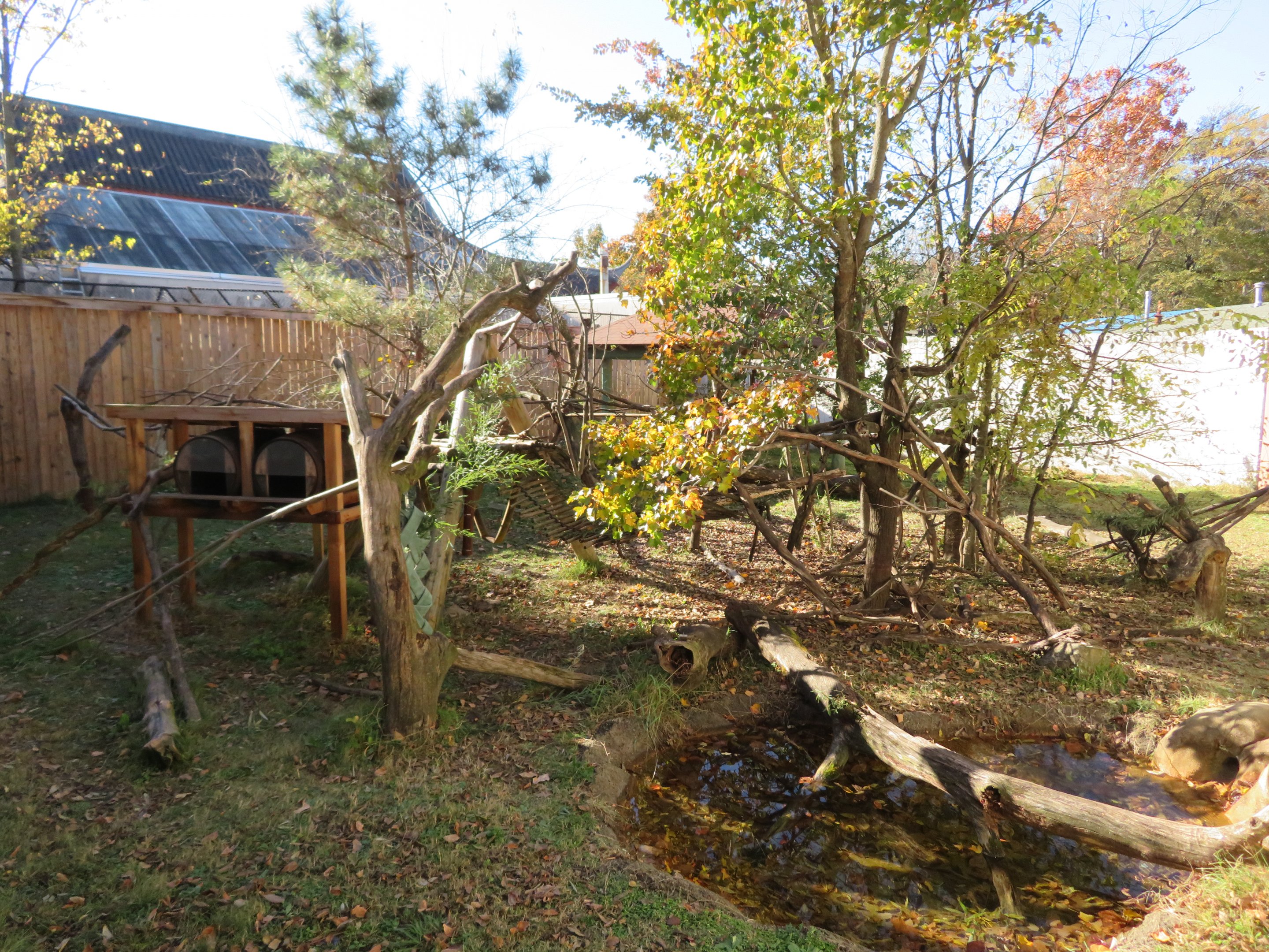 CHINA Red Panda Exhibit
