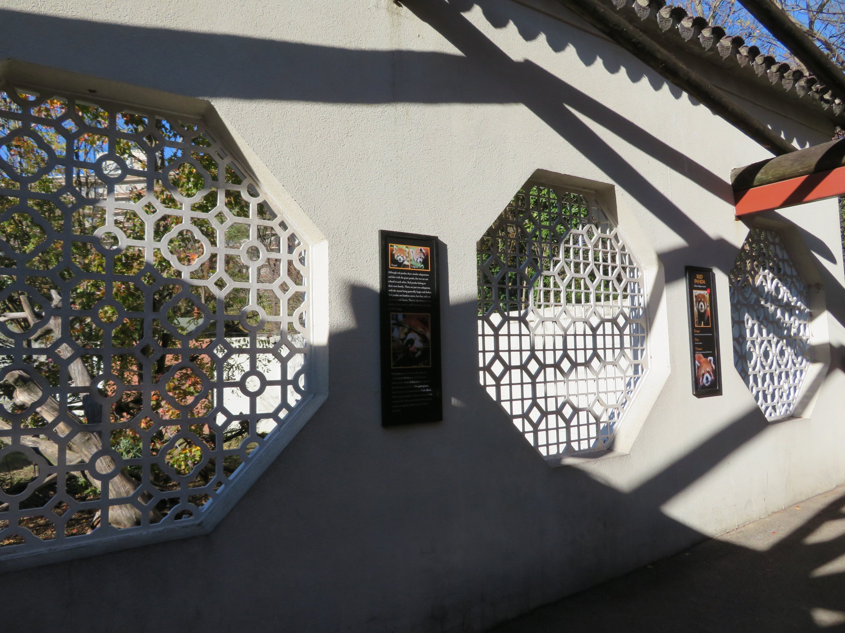CHINA Red Panda Exhibit