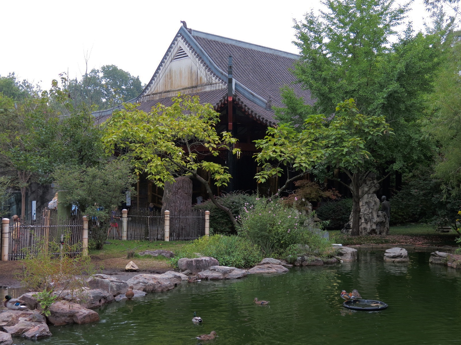 CHINA - Waterfowl Exhibit