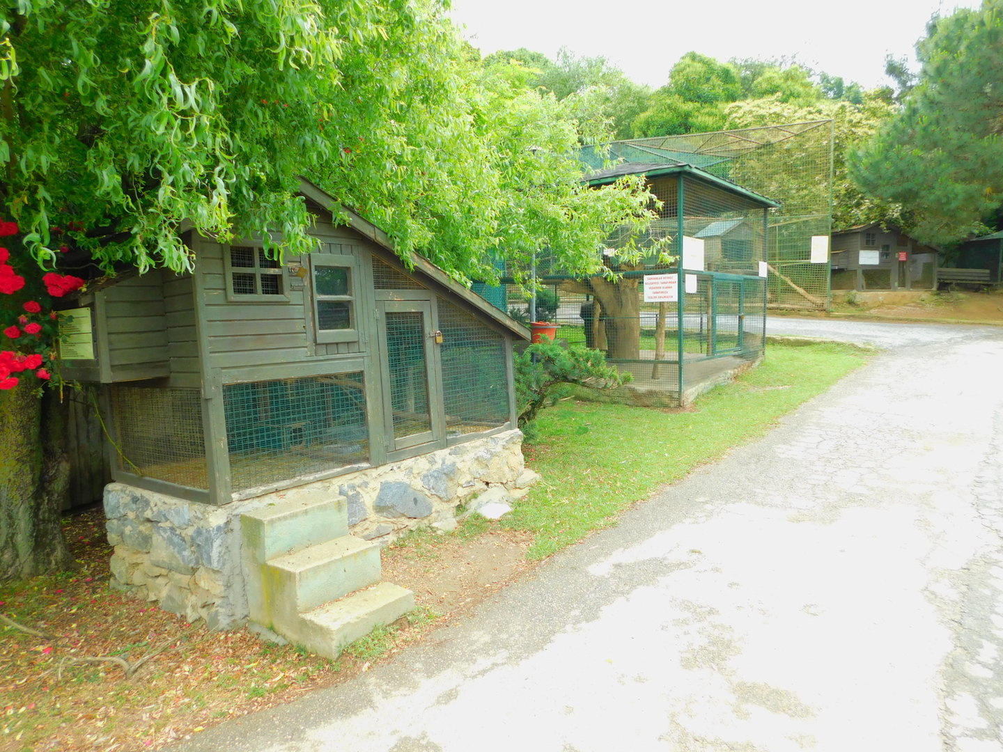 Chinchila and Beech Marten Cages