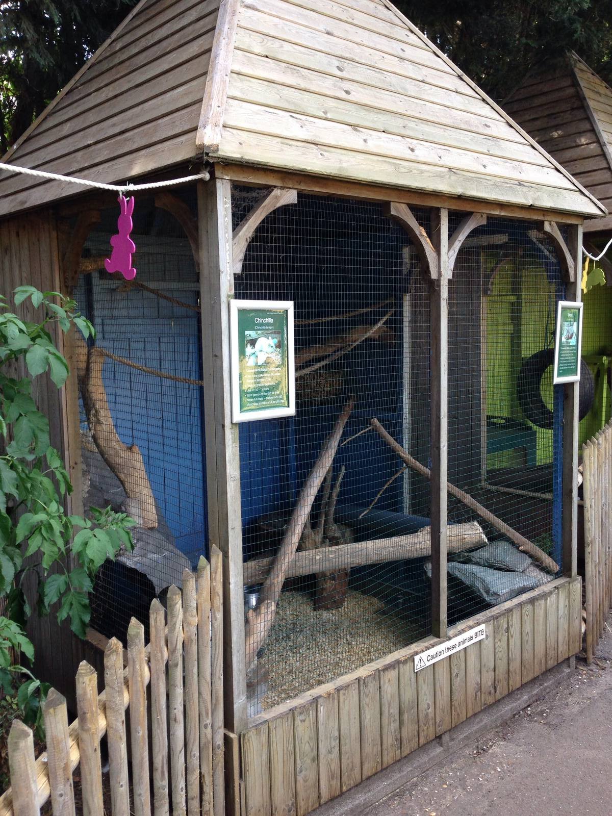 Chinchilla and degu enclosure