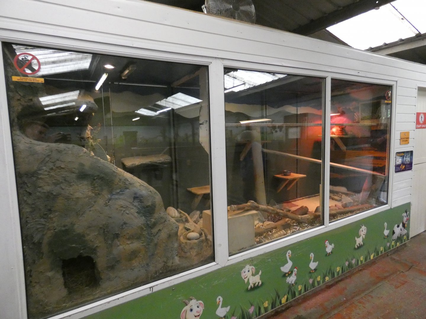 Chinchilla and ferret enclosures