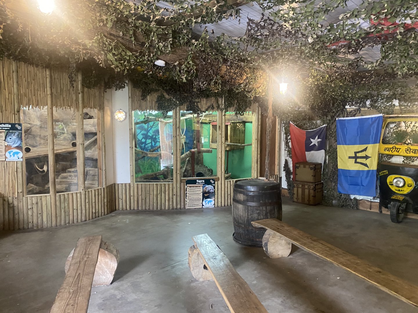 Chinchilla and Tayra exhibits 040824