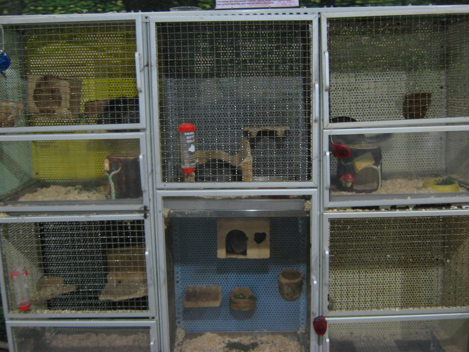 chinchilla cages