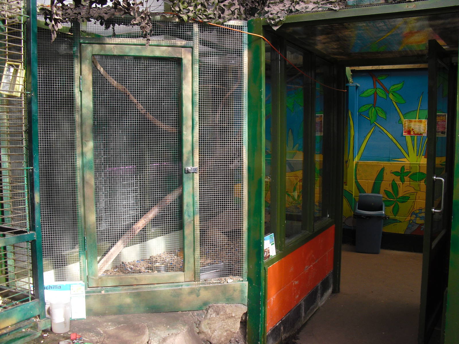 Chinchilla Enclosure - 16/10/2011