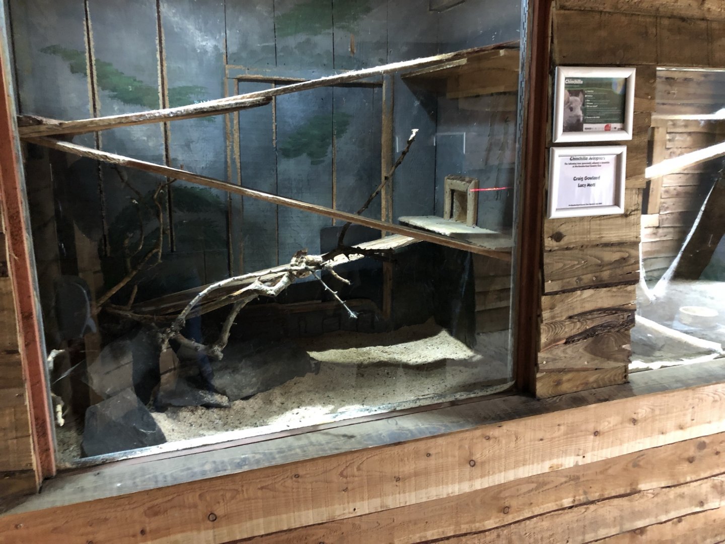 Chinchilla Enclosure at Northumberland Country Zoo (September 2021)