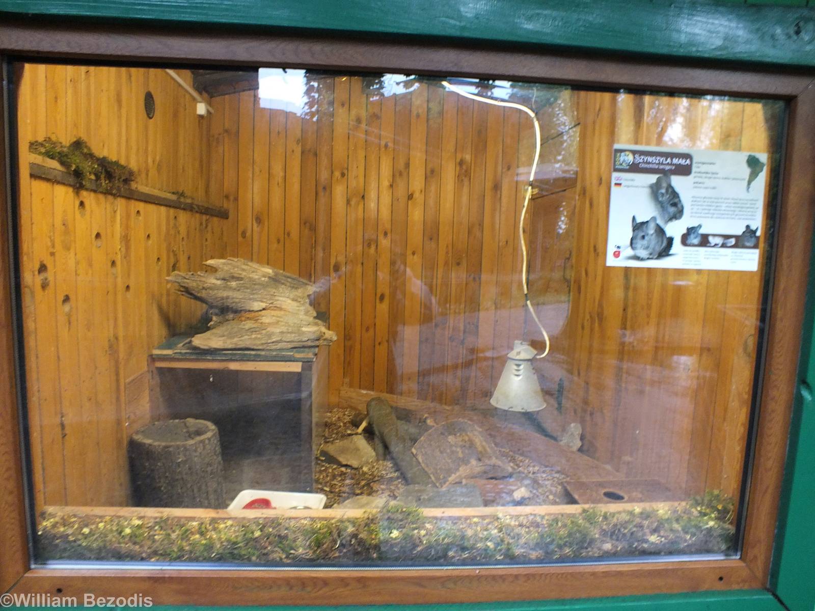 Chinchilla Enclosure