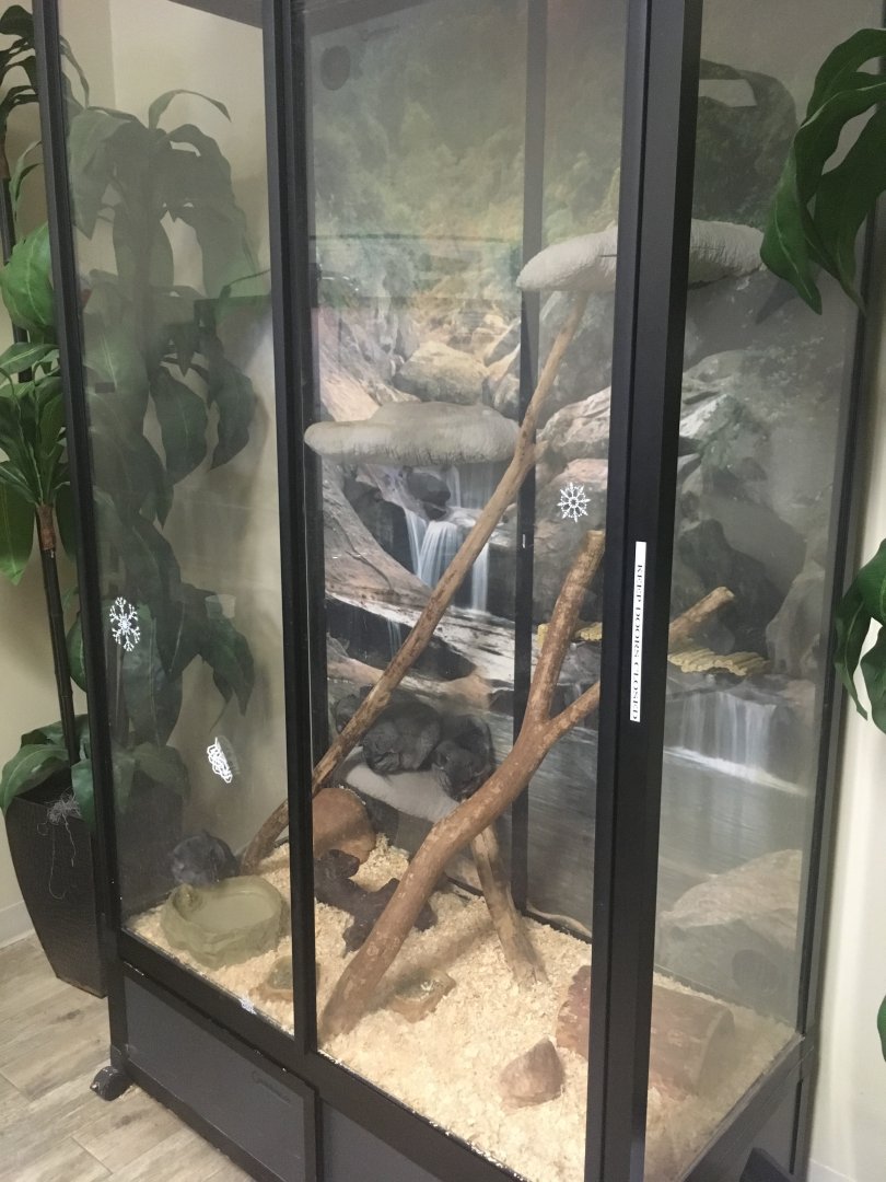 Chinchilla Enclosure