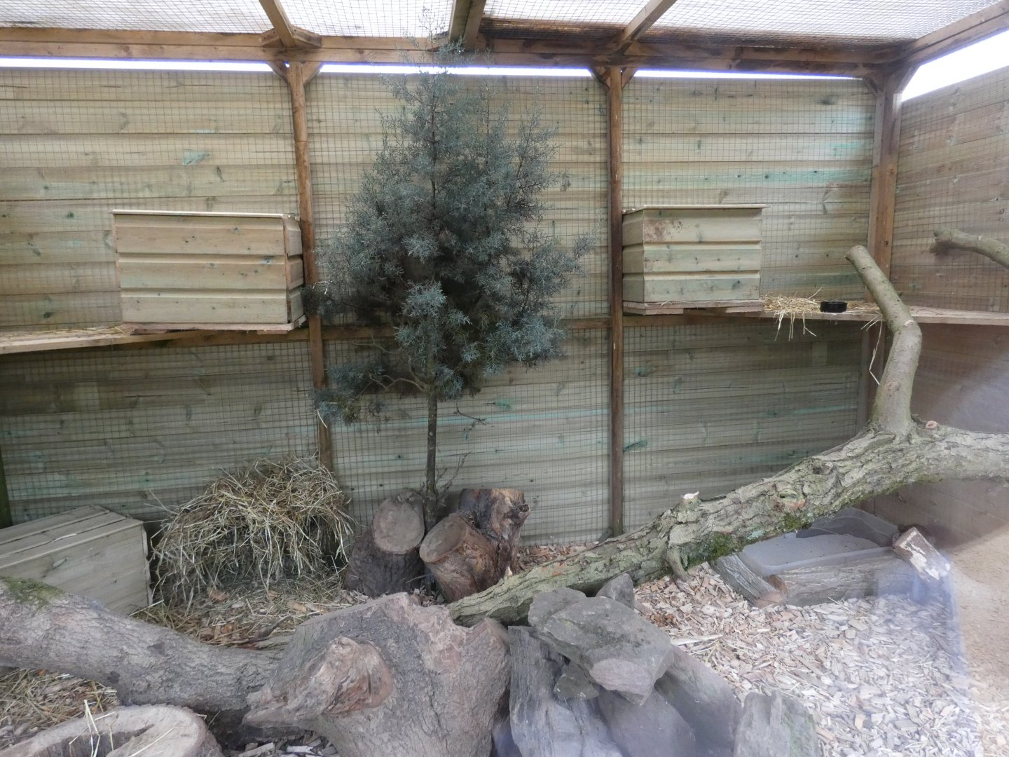 Chinchilla enclosure