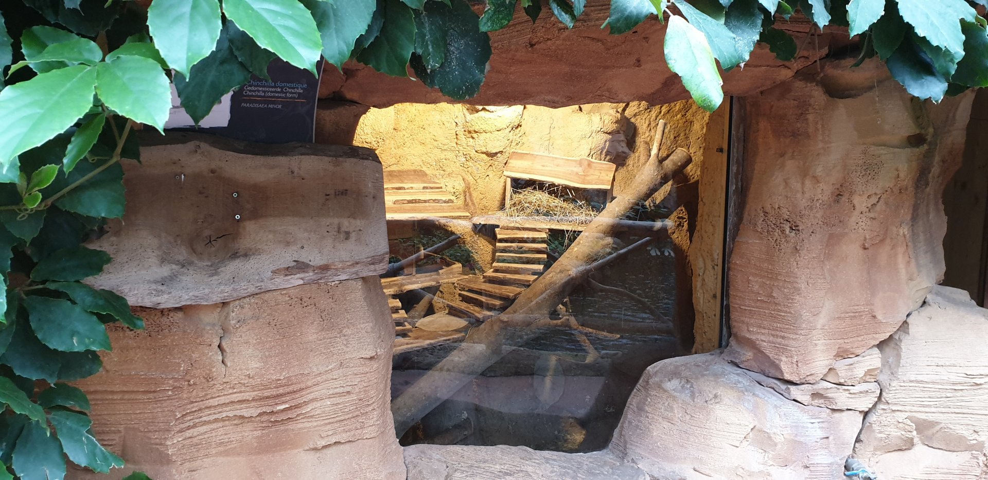 Chinchilla enclosure