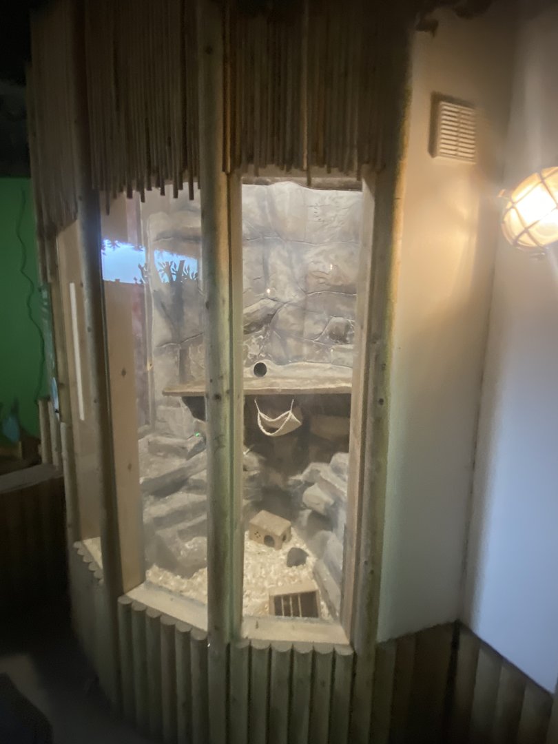 Chinchilla exhibit 150723