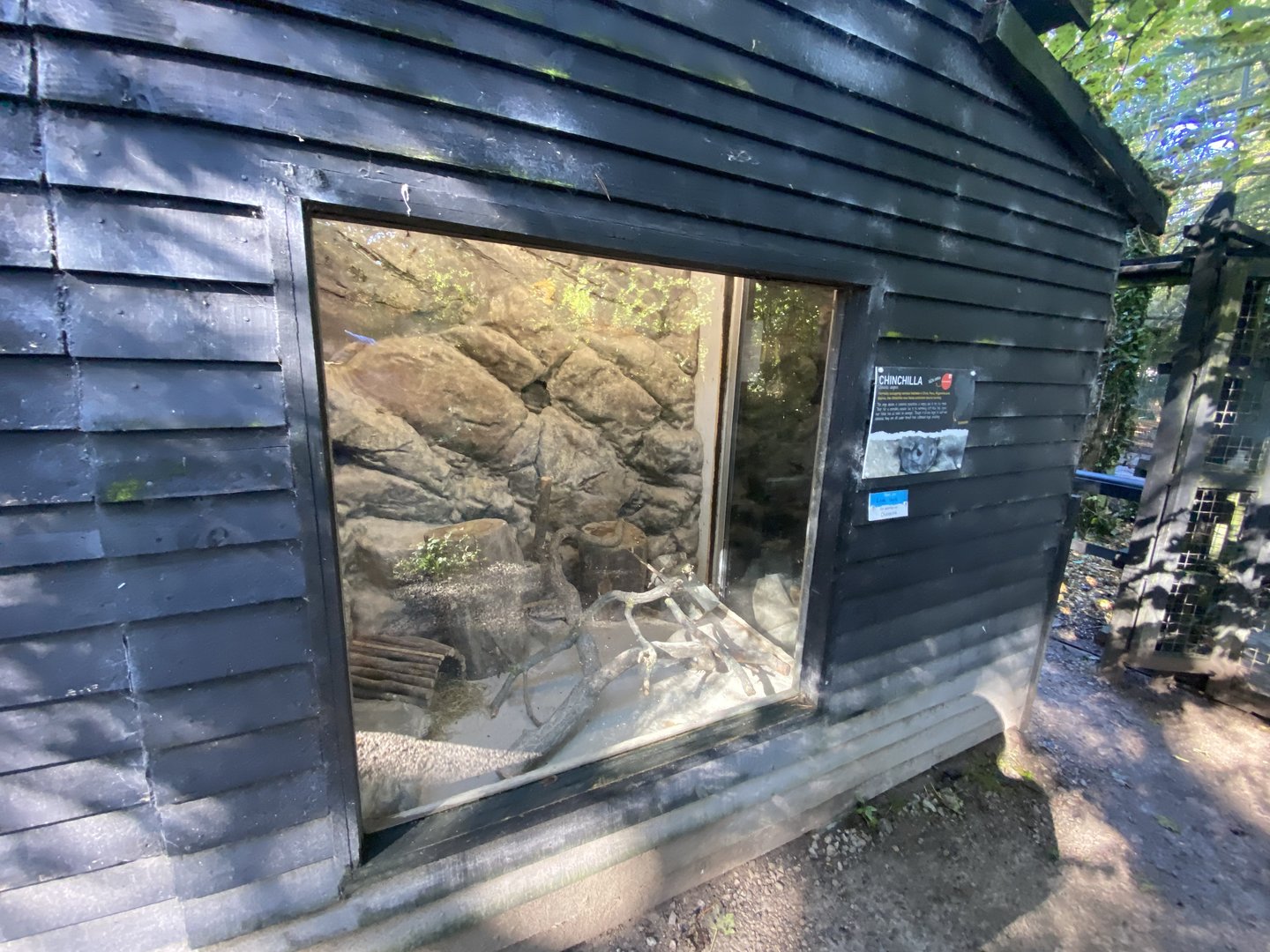 Chinchilla exhibit 230922