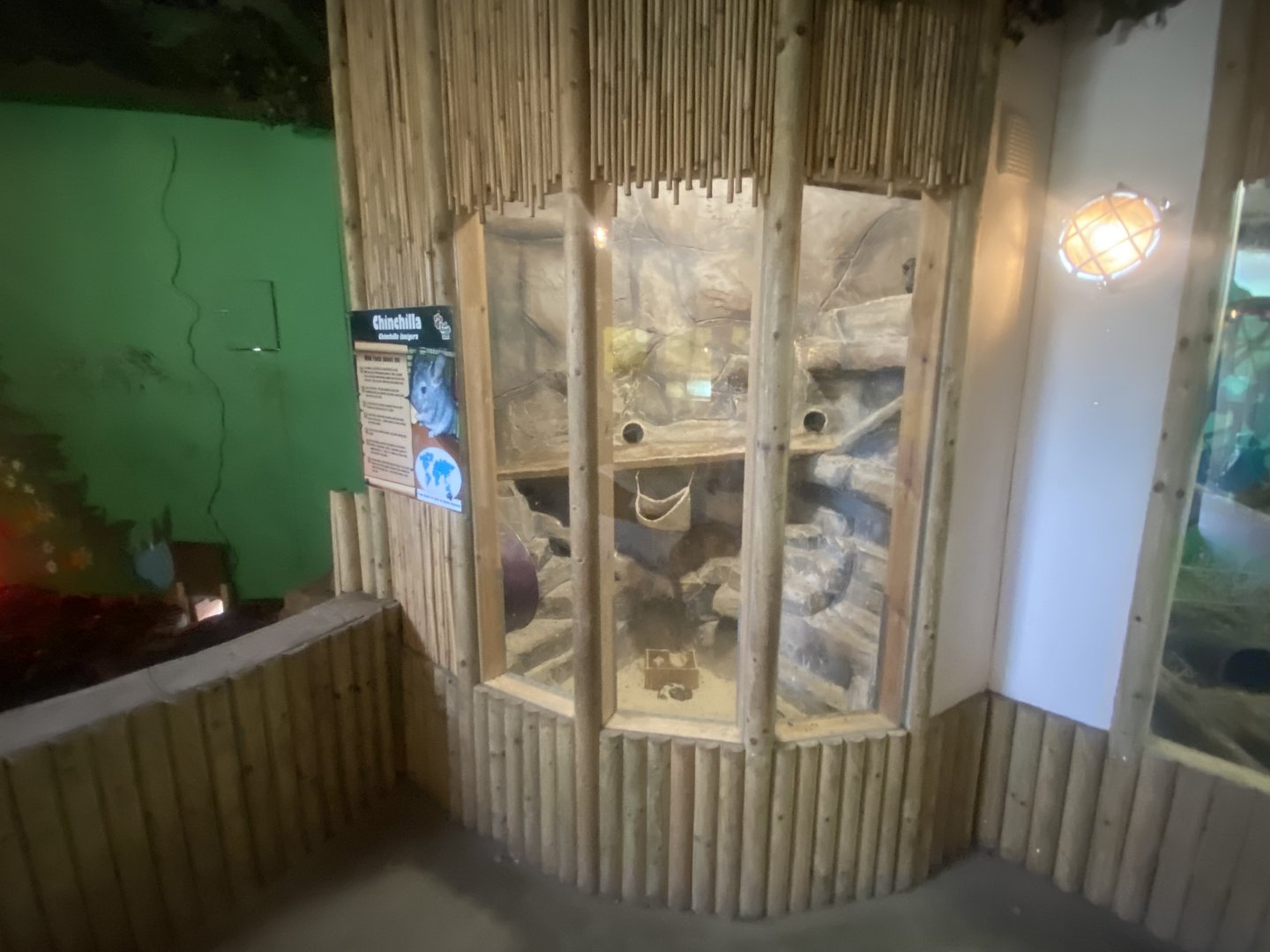 Chinchilla exhibit 280425