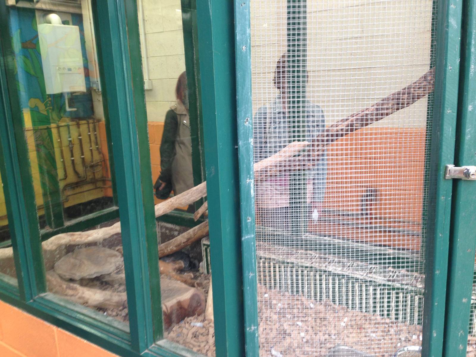 Chinchilla Exhibit at Ponderosa Rural Thereapeutic Centre