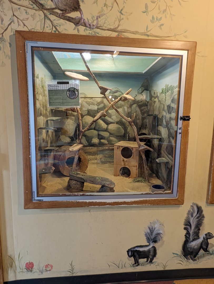 Chinchilla exhibit in the Discovery House