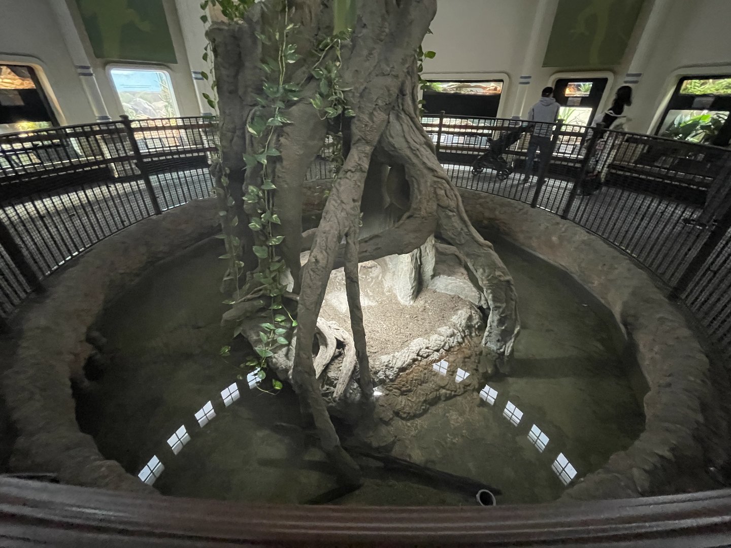 Chinese Alligator Enclosure