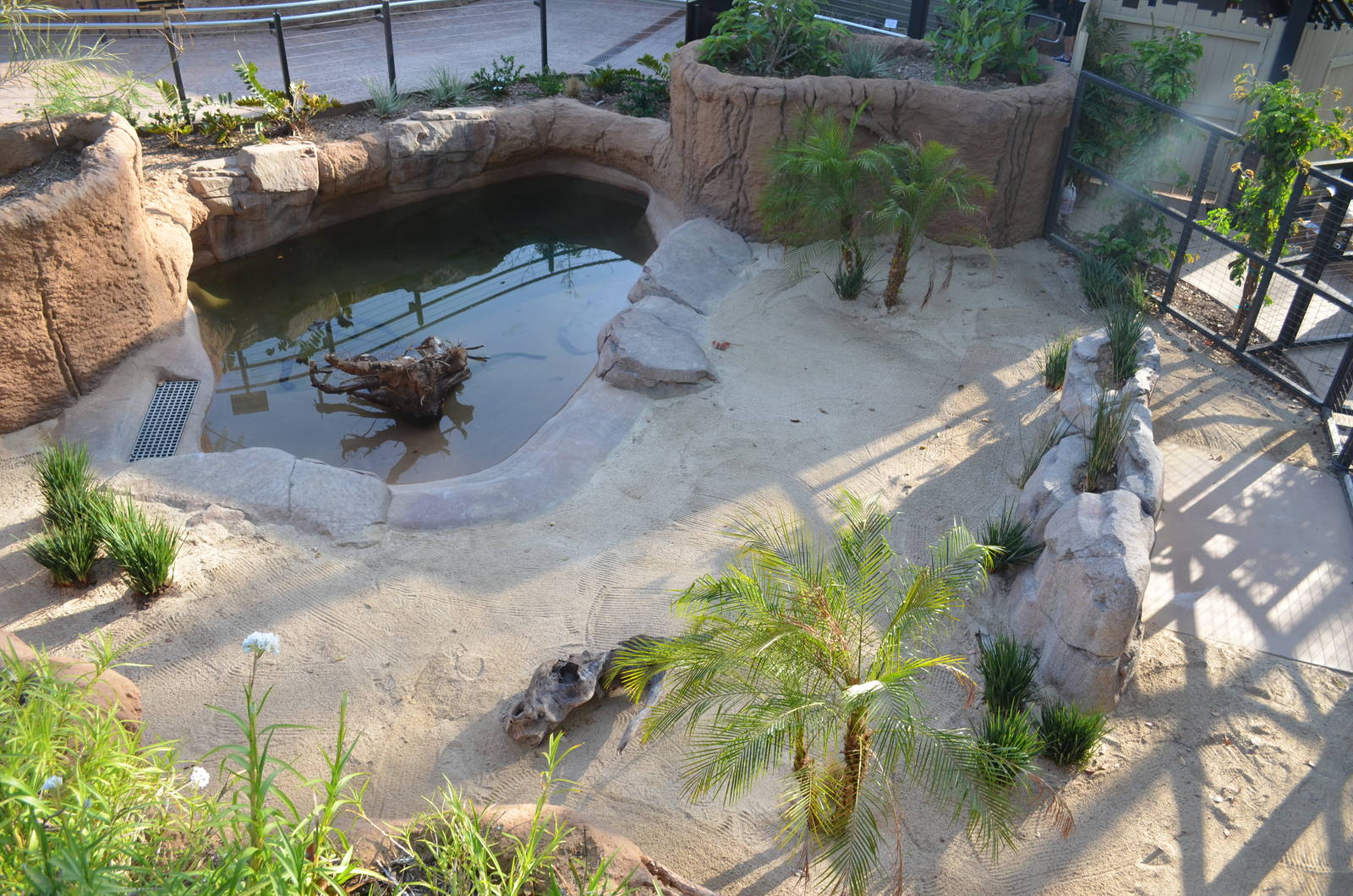 Chinese Alligator Exhibit