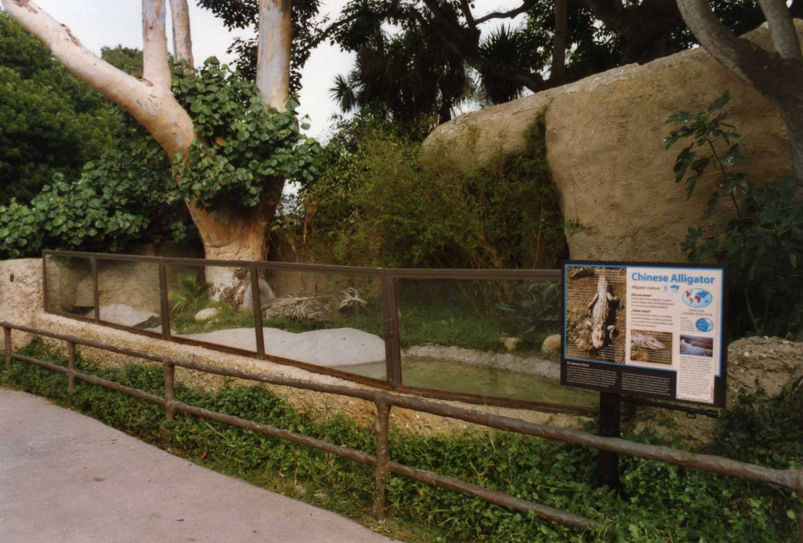Chinese Alligator Exhibit