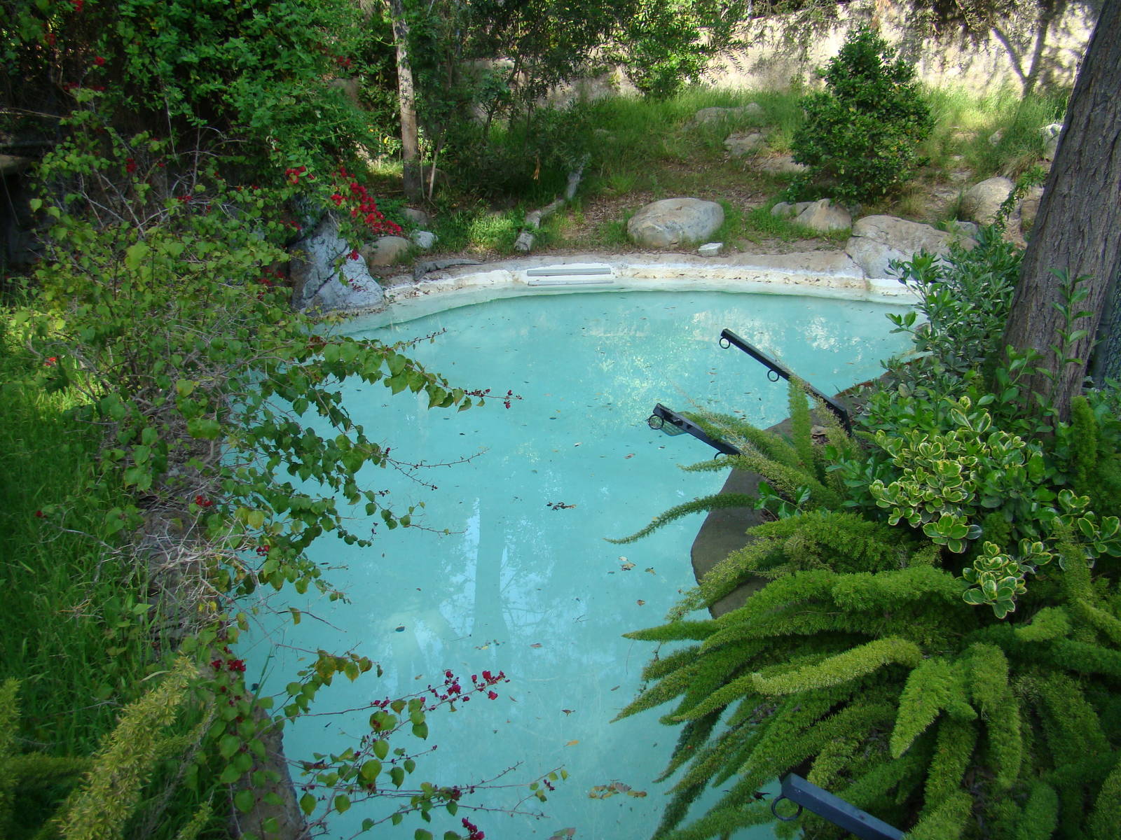 Chinese Alligator exhibit