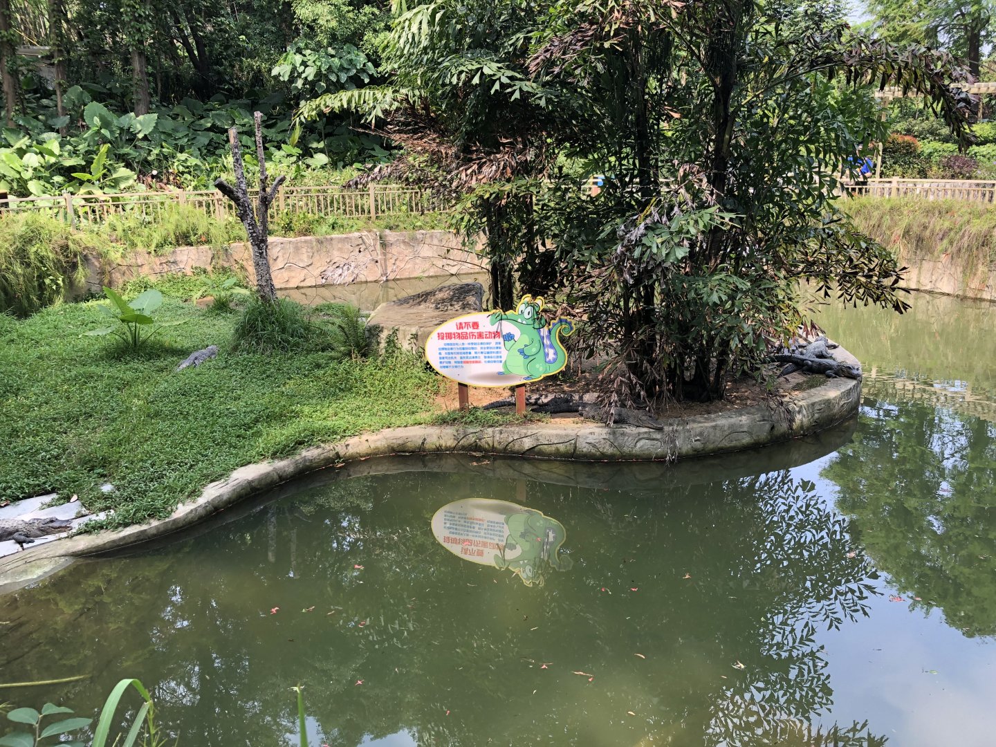 Chinese Alligator Exhibit