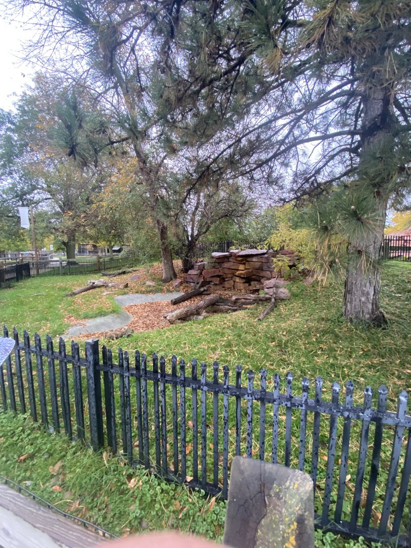 Chinese Alligator Exhibit