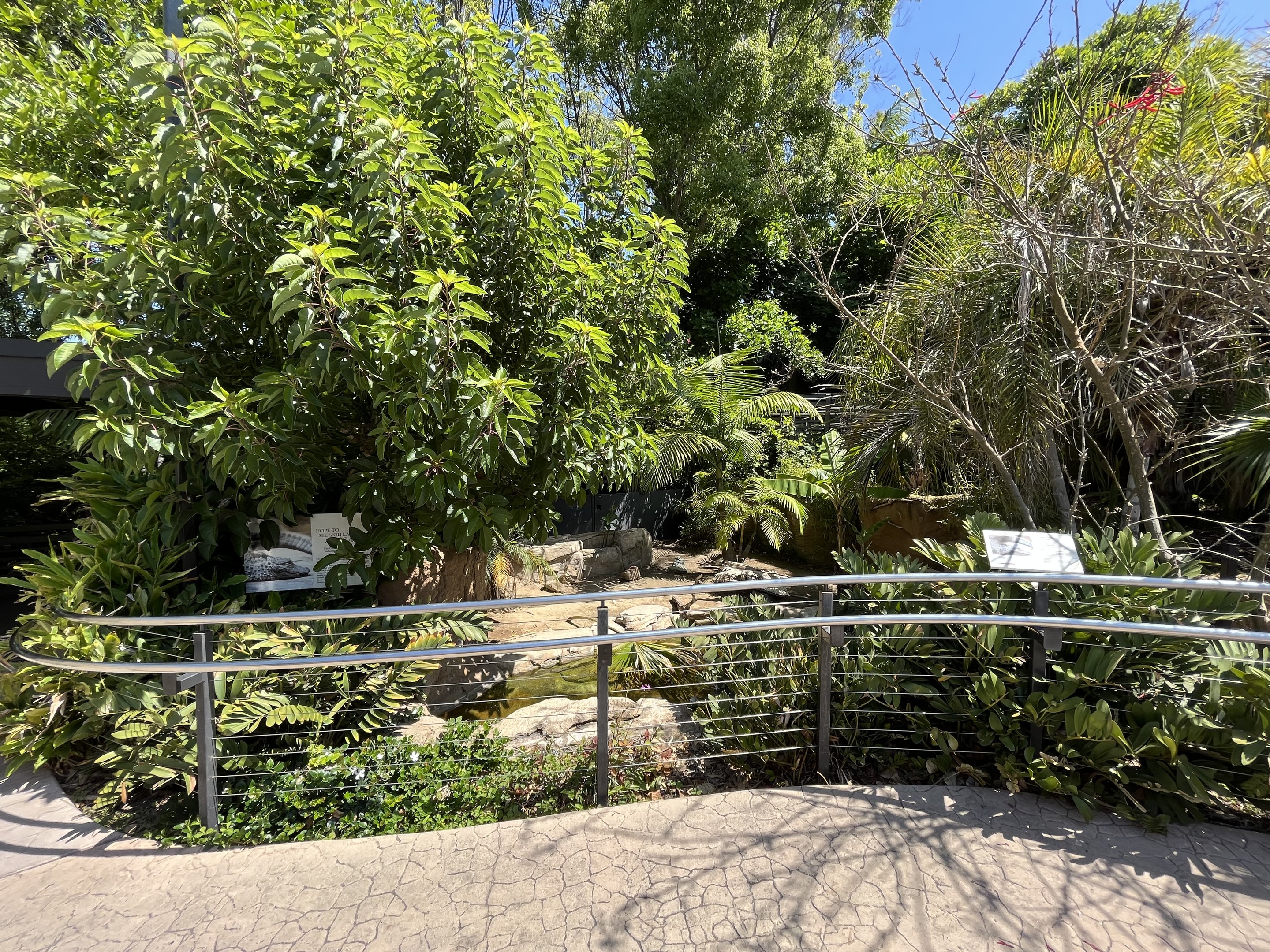 Chinese Alligator Exhibit