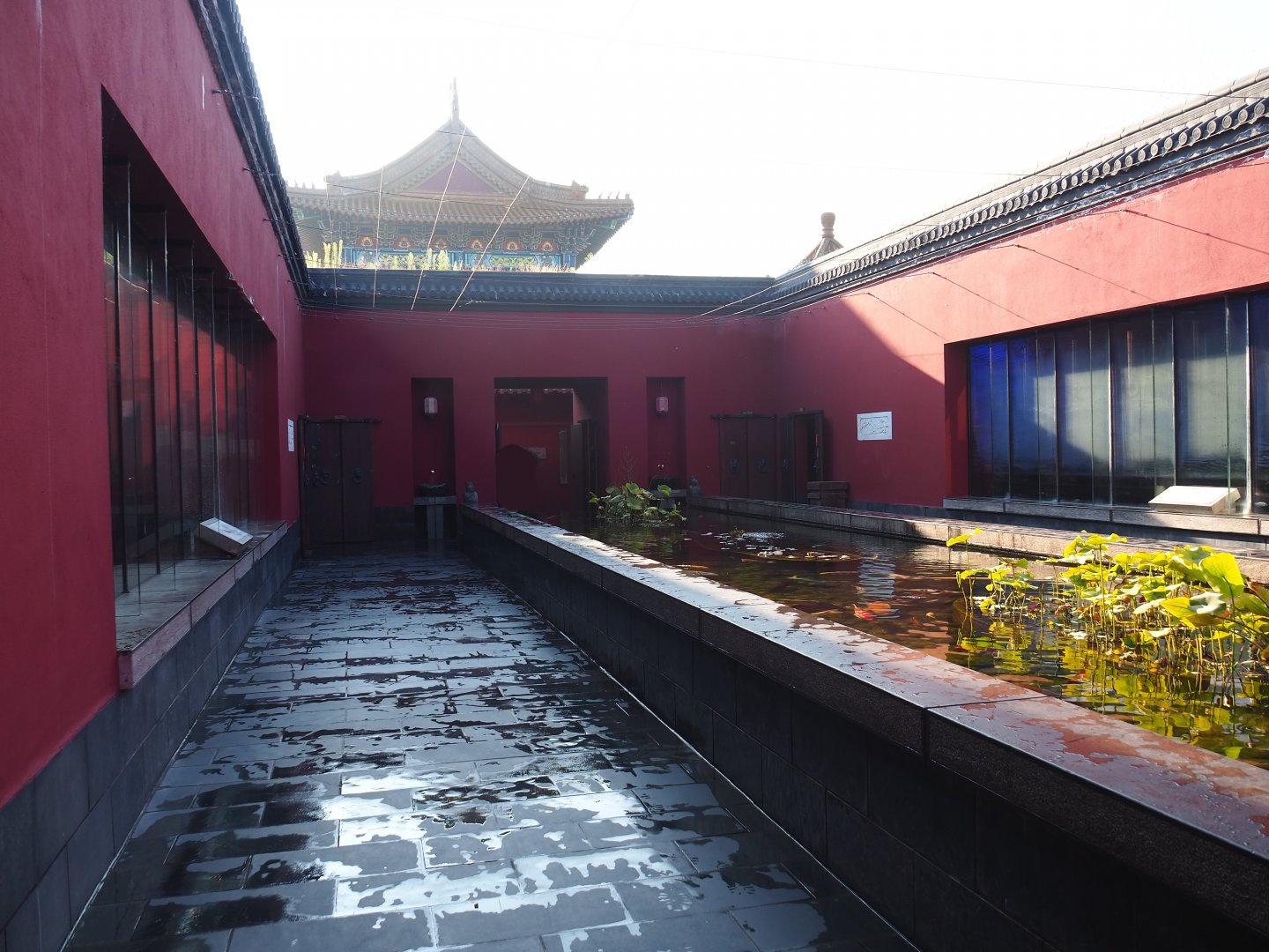 Chinese courtyard with fish touch pond and Chinese alligator and Chinese giant salamander exhibits, 2021-09-03