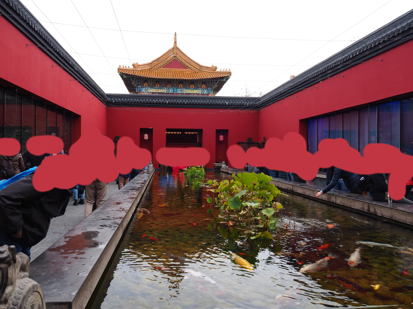 Chinese courtyard with koi pond and Chinese alligator and Chinese giant salamander exhibits, 2019-10-05