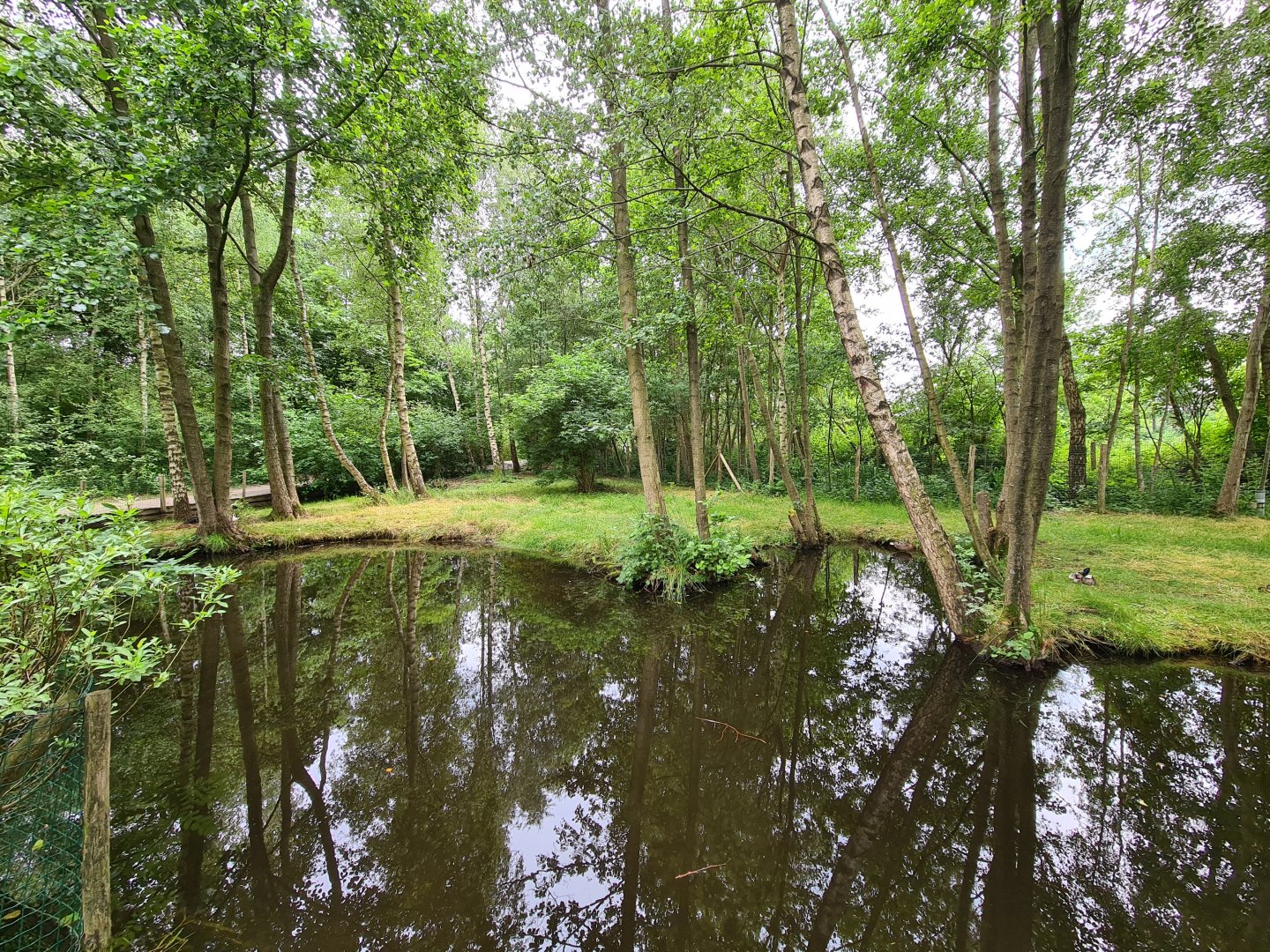 Chinese crane enclosure