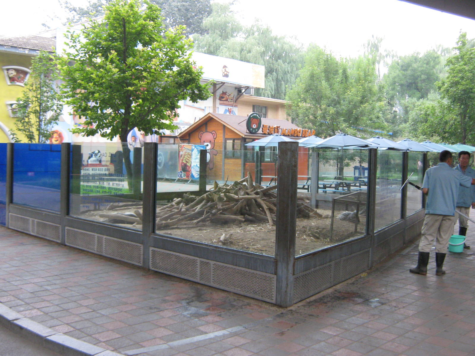 Chinese crested porcupine enclosure