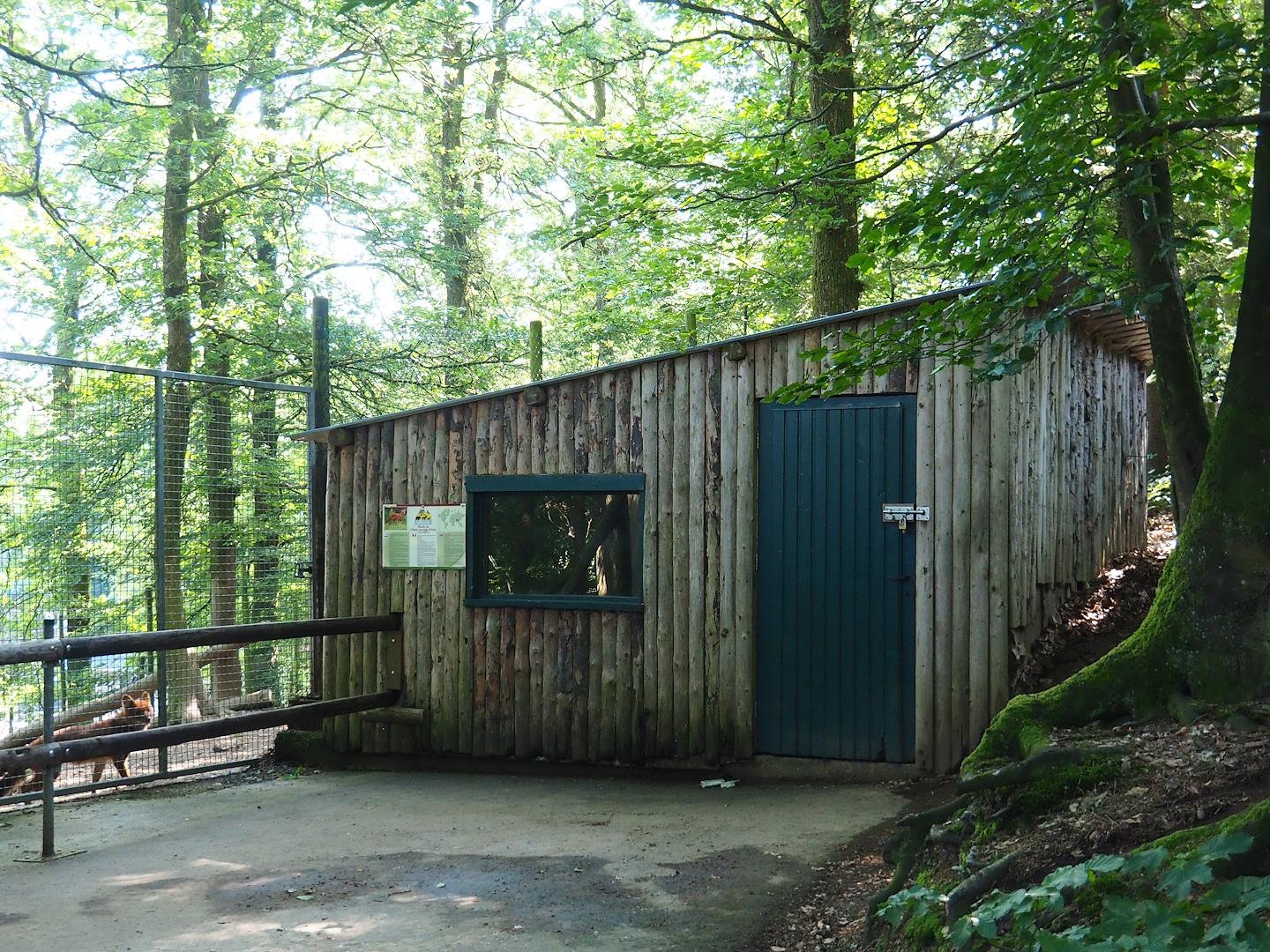 Chinese Dhole barn, 2023-06-24