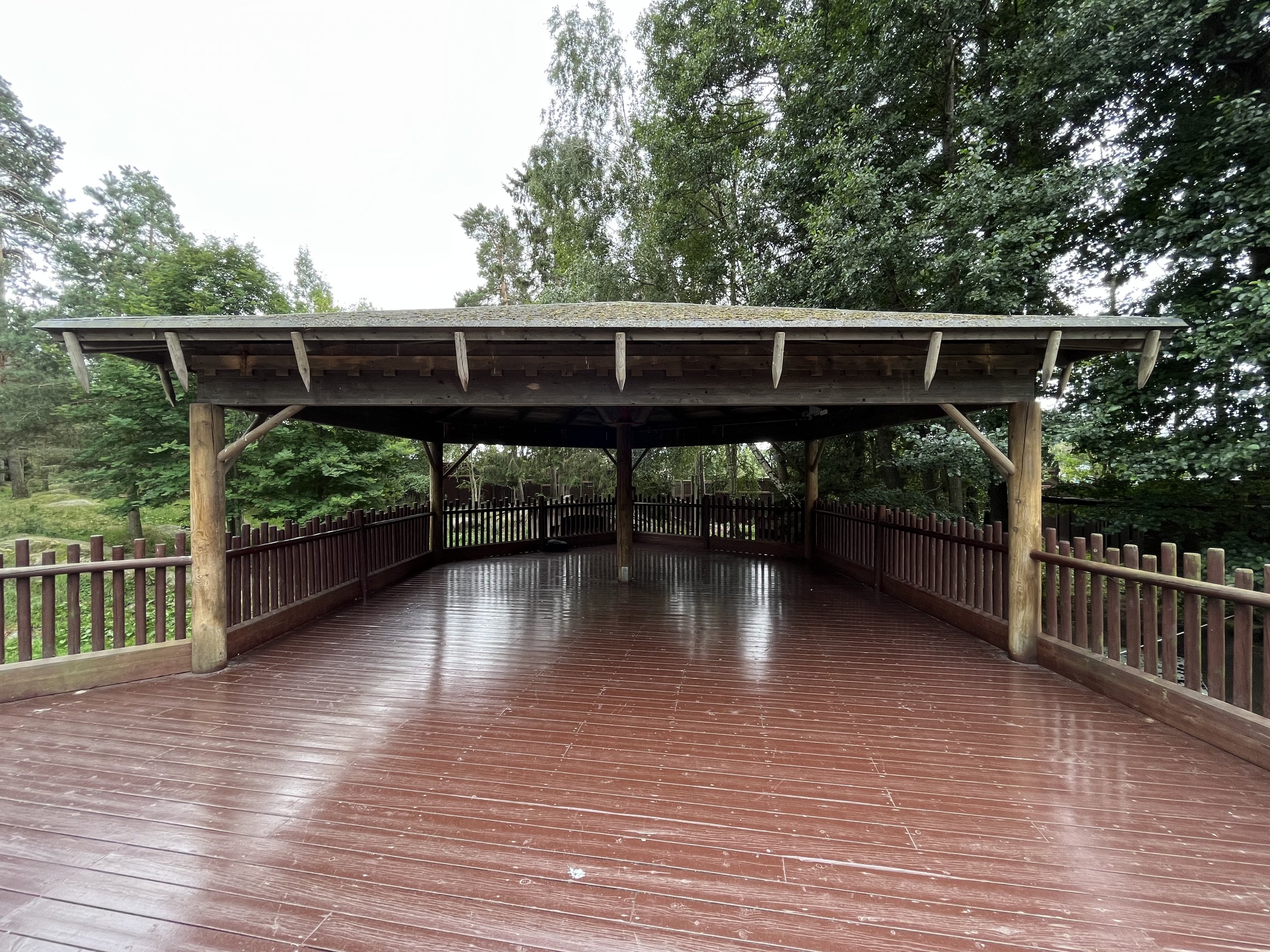 Chinese Dhole Exhibit