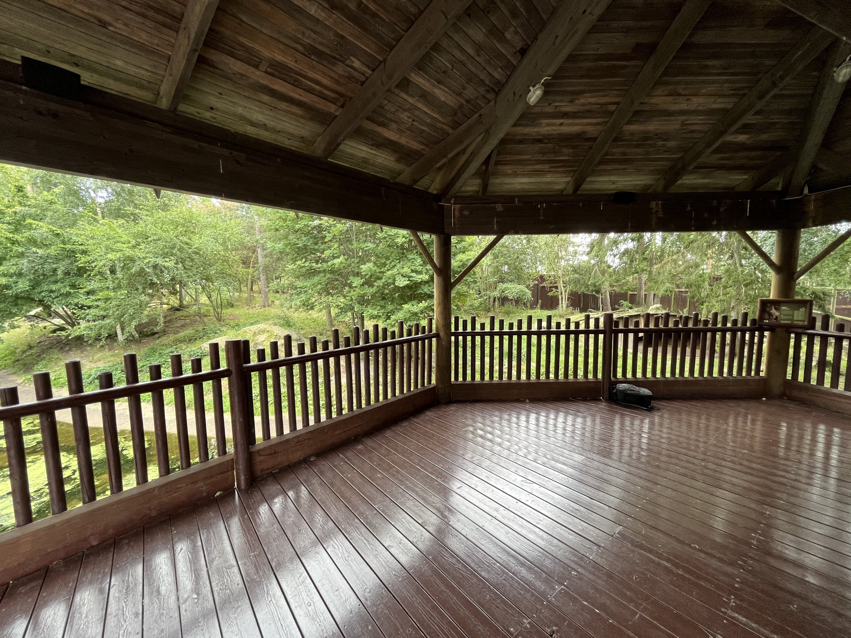 Chinese Dhole Exhibit