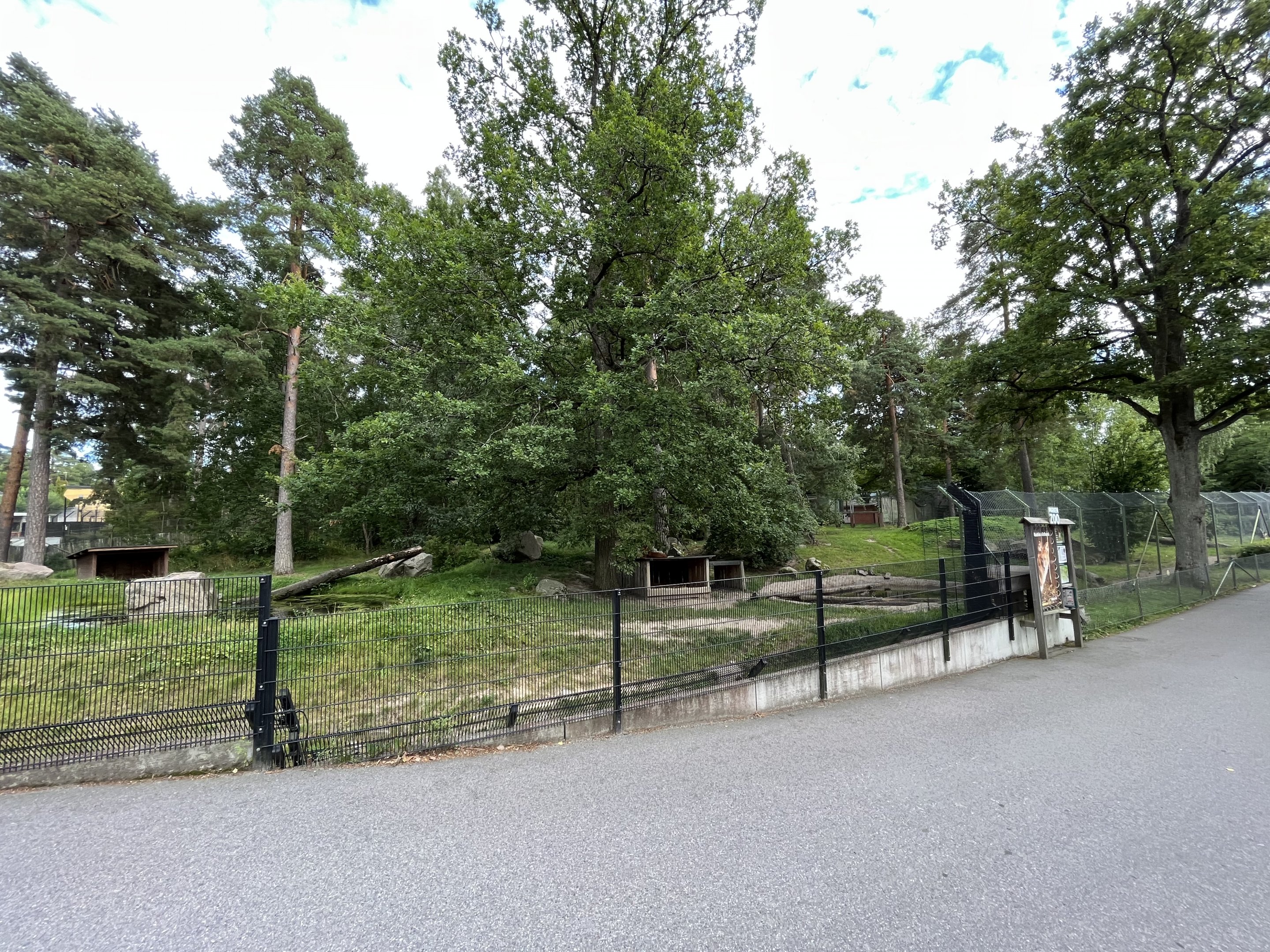 Chinese Dhole Exhibit