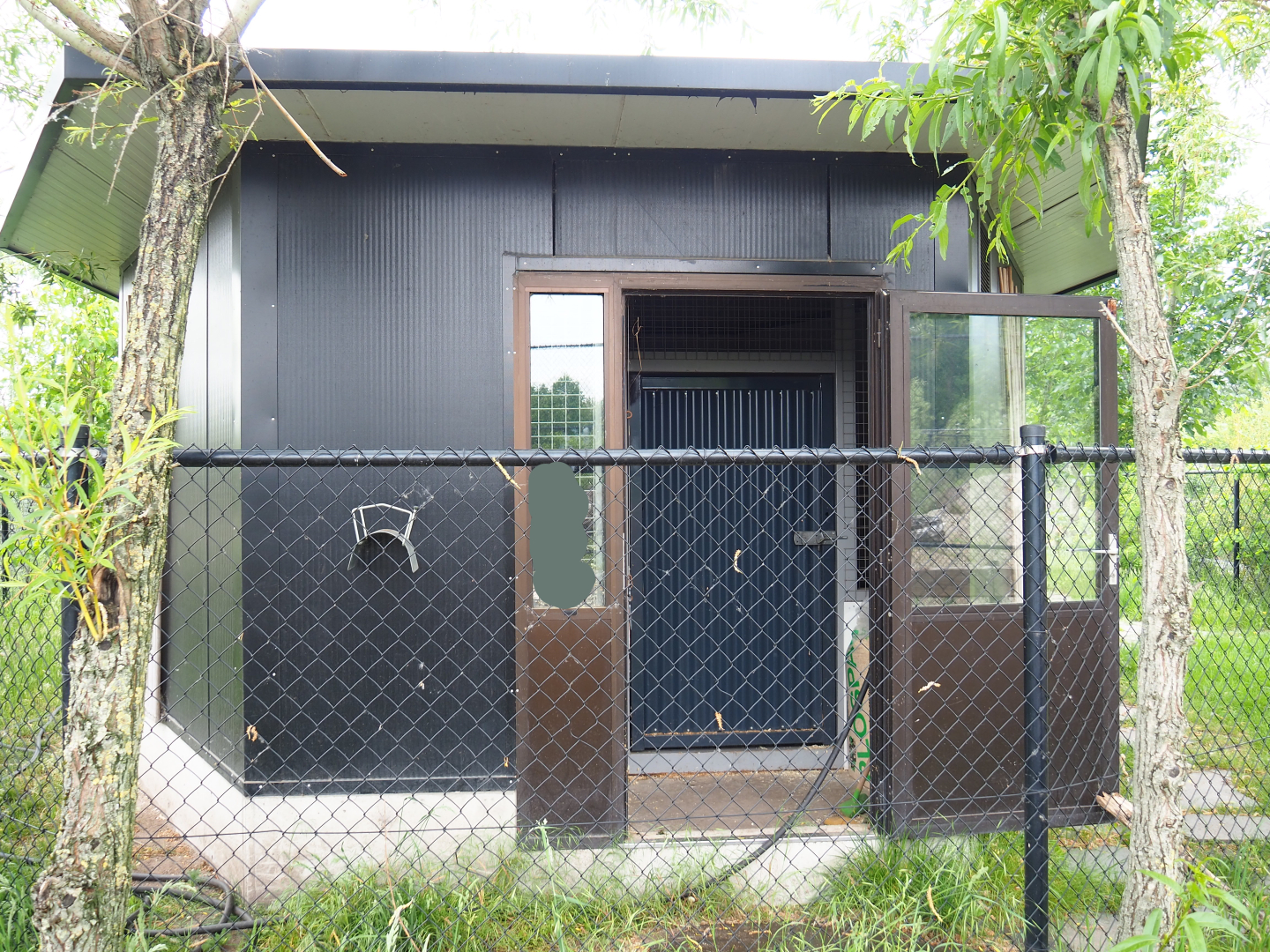 Chinese dhole holding building, 2022-05-17