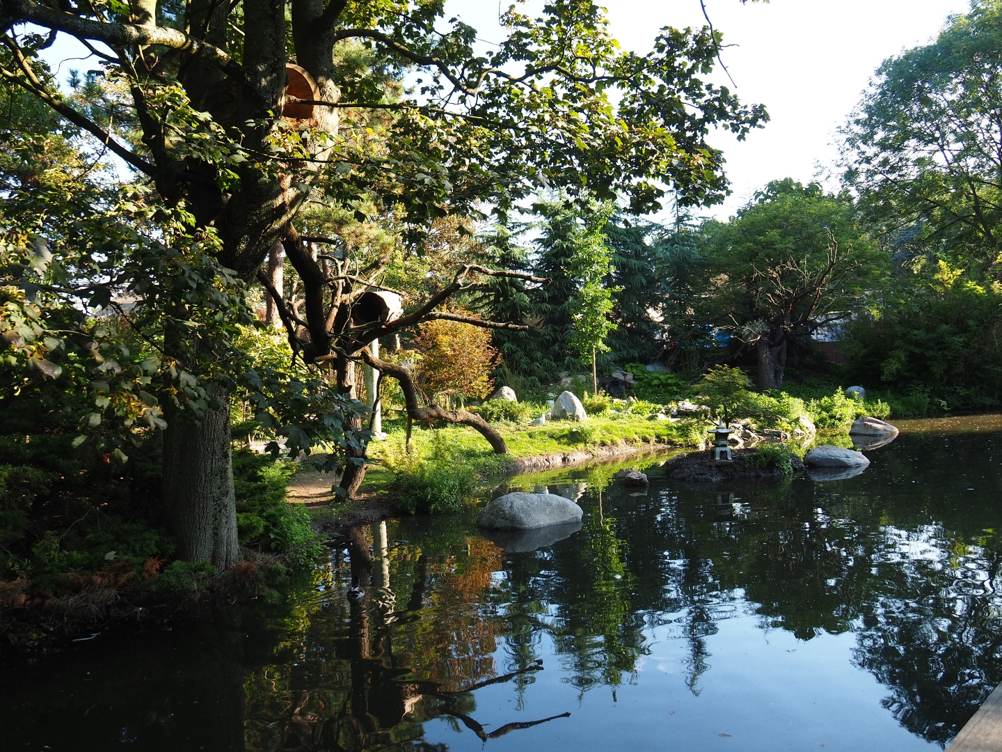 Chinese exhibit and viewing area (Sep 2nd, 2018)