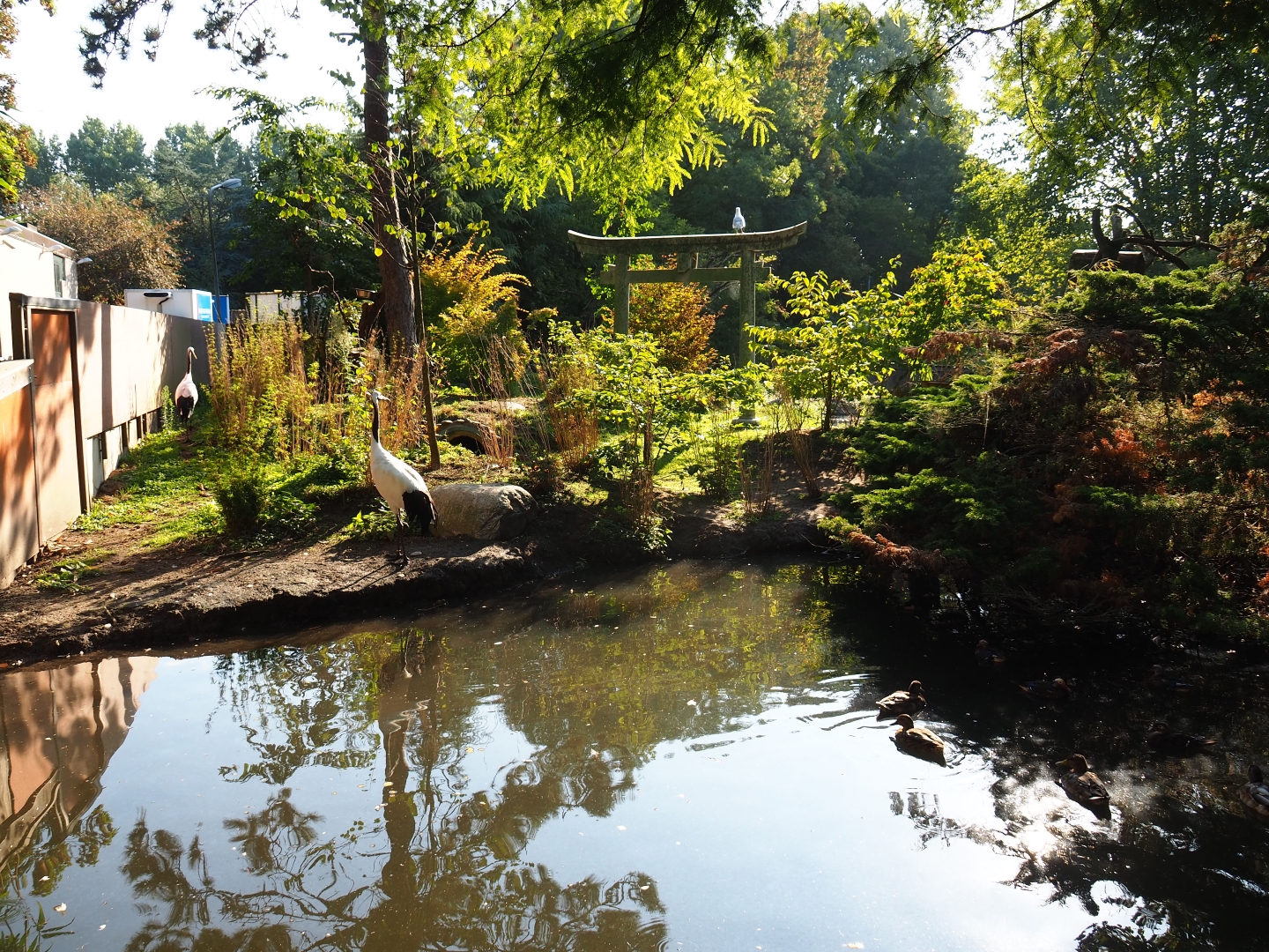 Chinese exhibit (Sep 2nd, 2018)