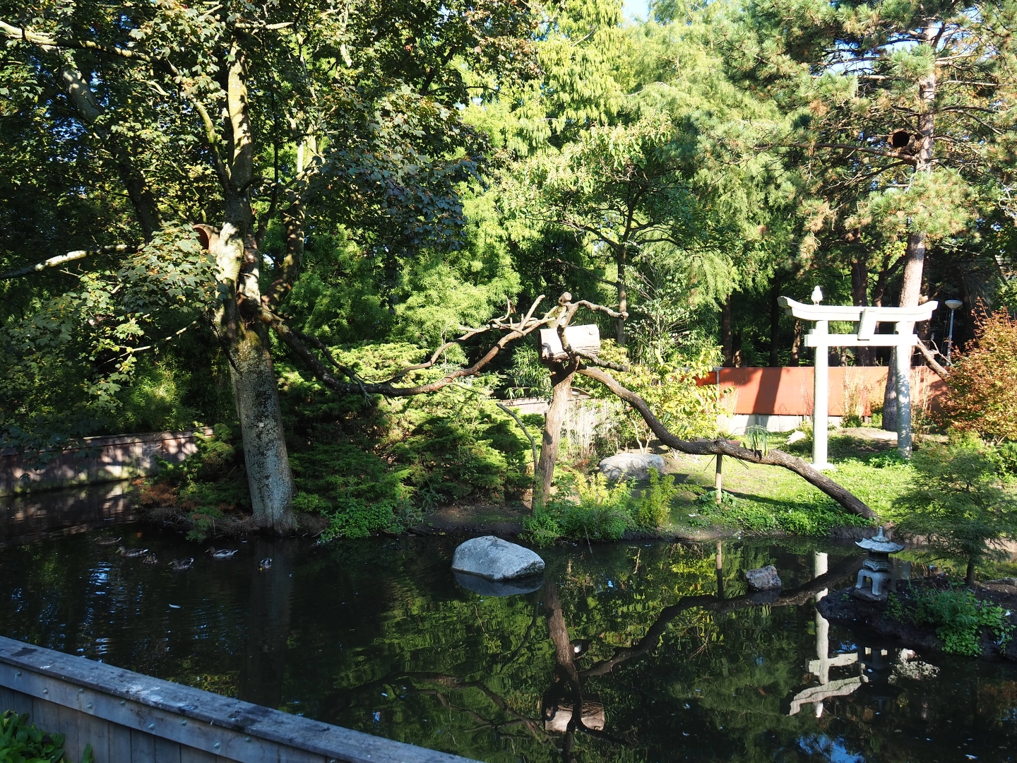 Chinese exhibit (Sep 2nd, 2018)