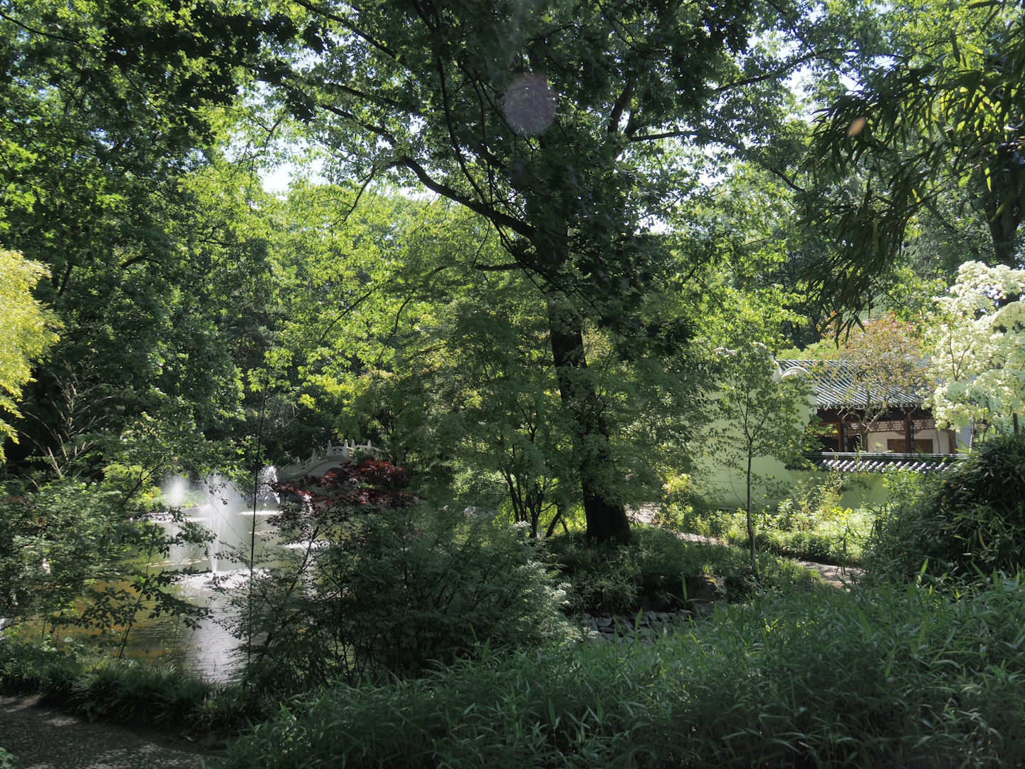 Chinese garden, 2024-06-08