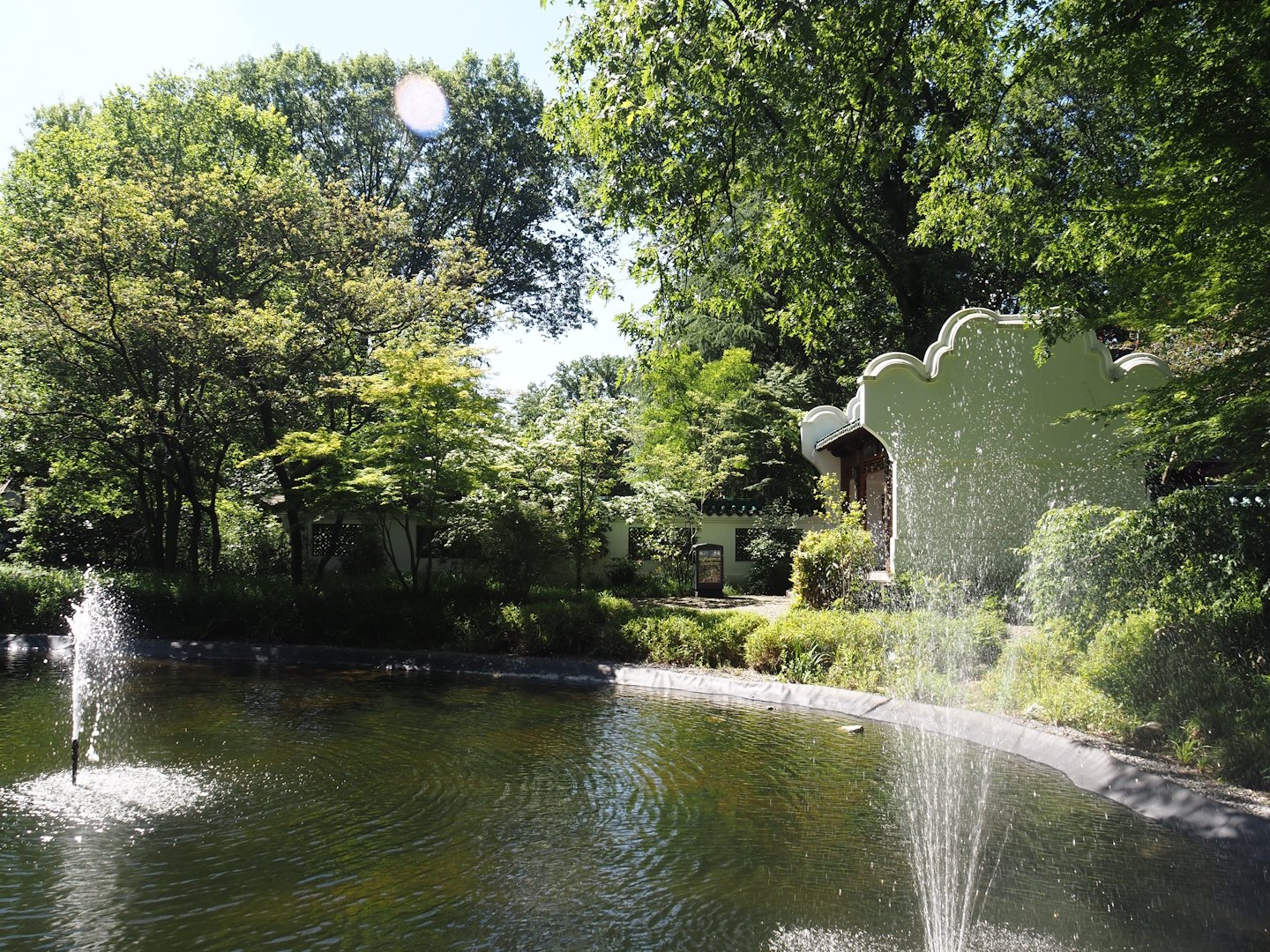 Chinese garden, 2024-06-08