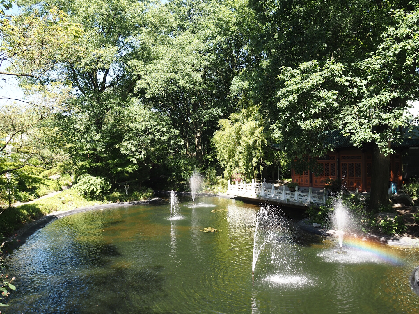 Chinese garden, 2024-06-08